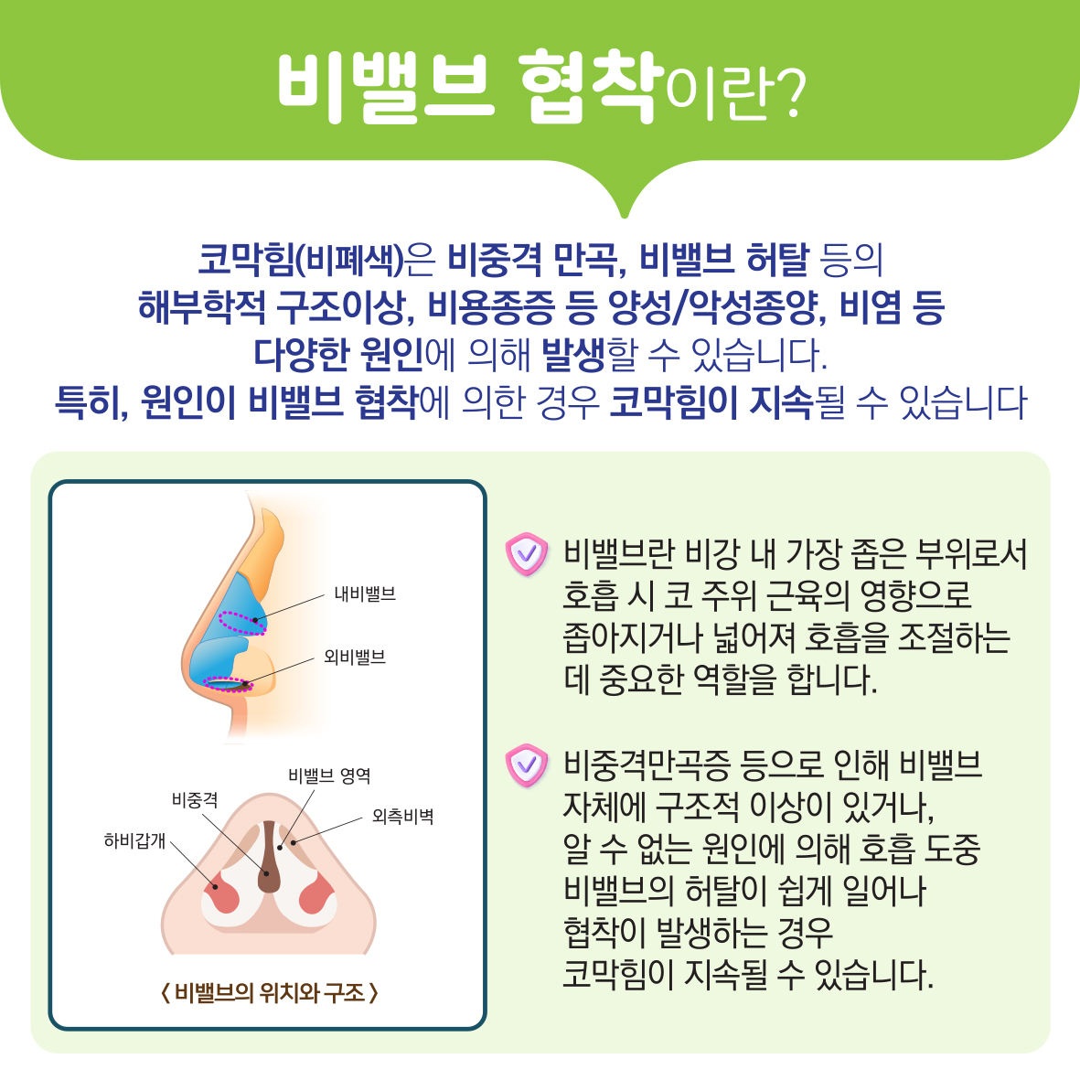 비밸브재건술 이미지2